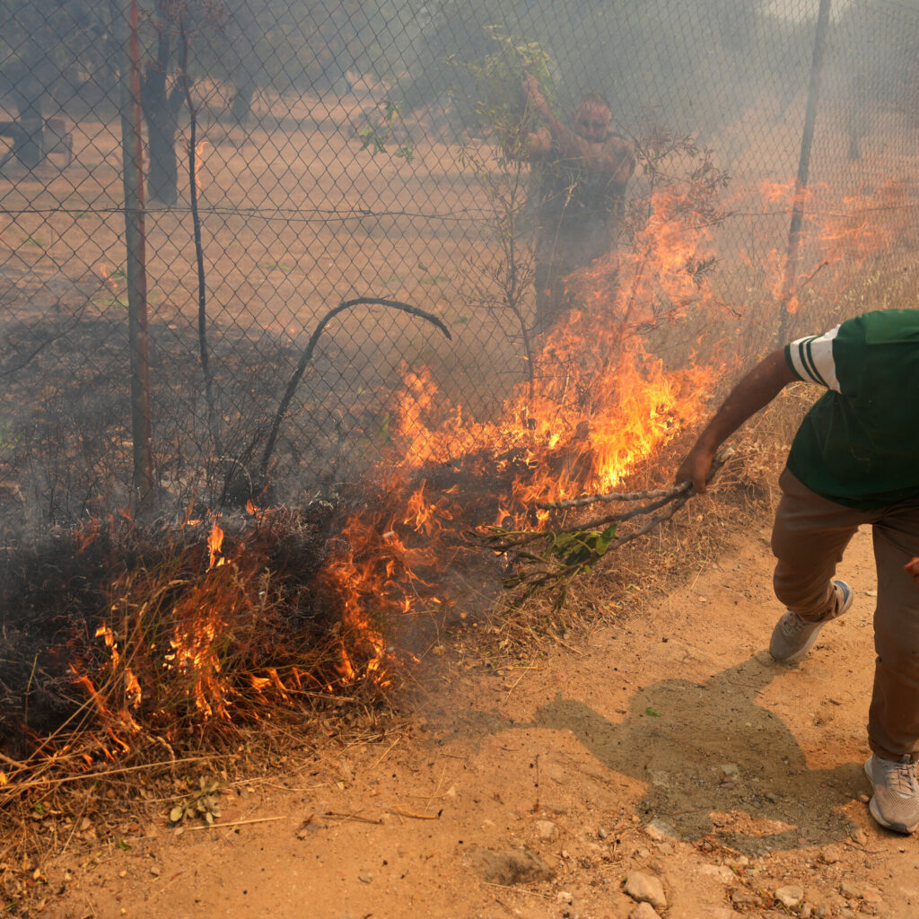 Extreme Heat and Strong Winds Fuel New Wildfires in France and Spain